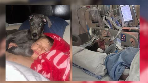 Slidell boy injured on Father’s Day heads home after 76 days in .